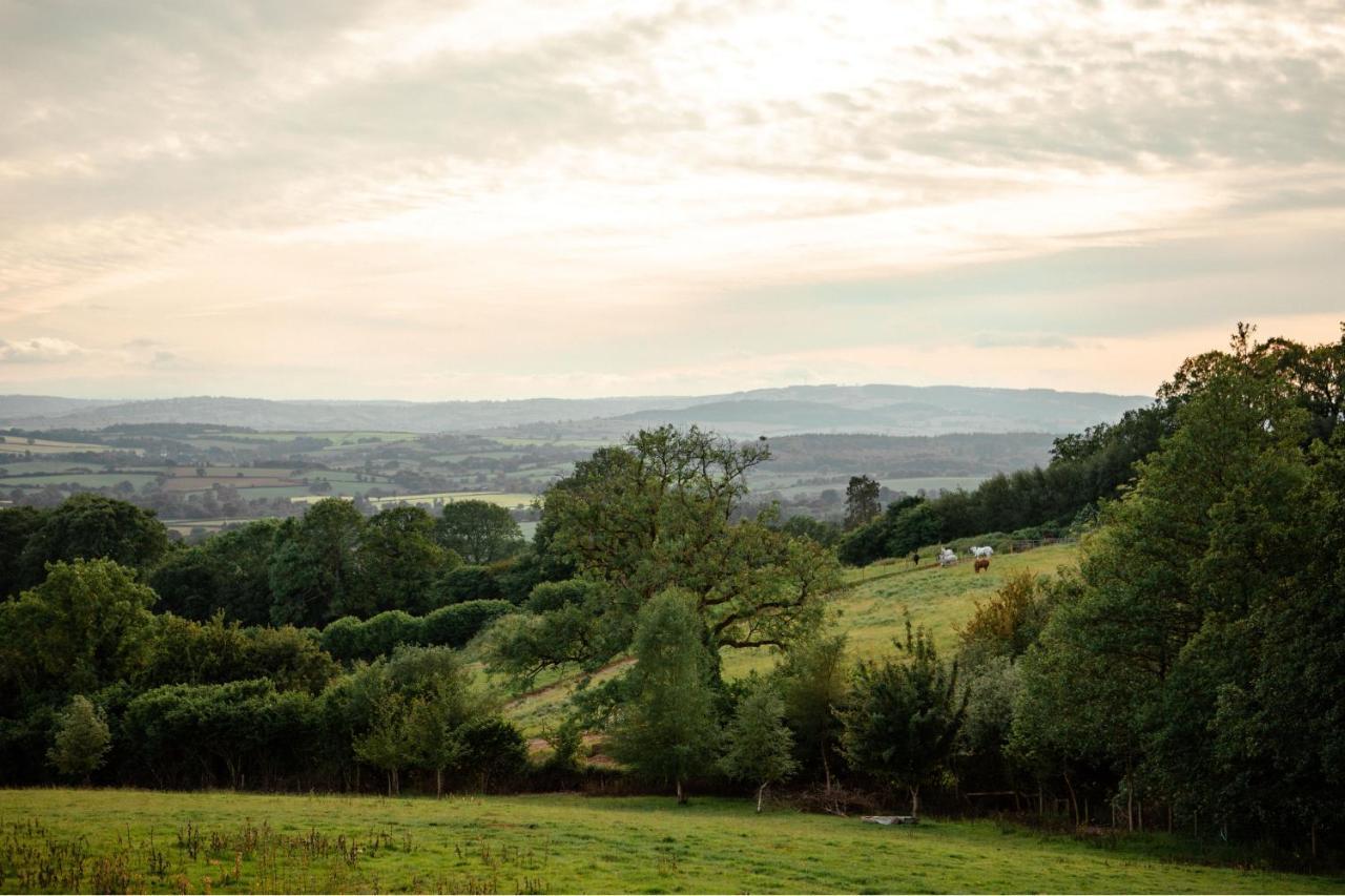 The Rising Sun Inn West Bagborough ภายนอก รูปภาพ